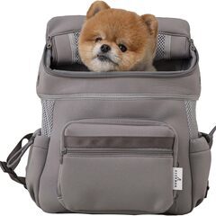 定価18000円が1500円! わんこキャリーリュック　　サイズ...