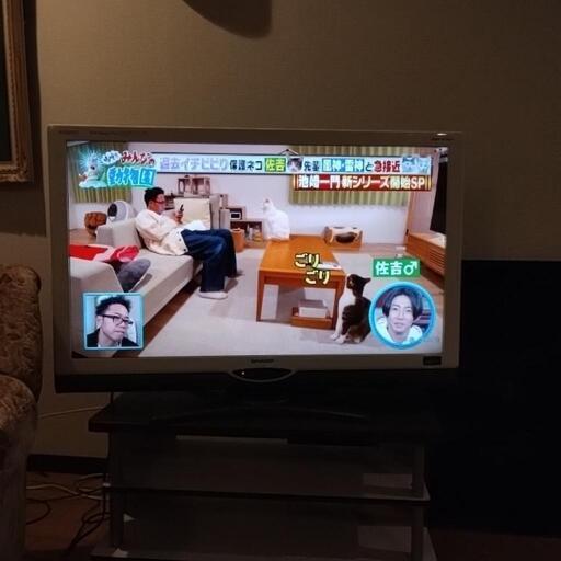家電 テレビ 液晶テレビ