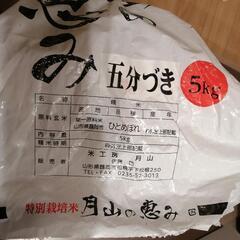 古米　3.6kgの画像