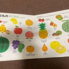 ものしりずかんの画像