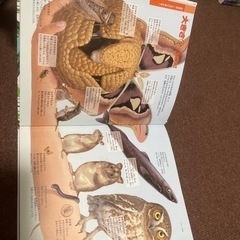 くらべる図鑑の画像