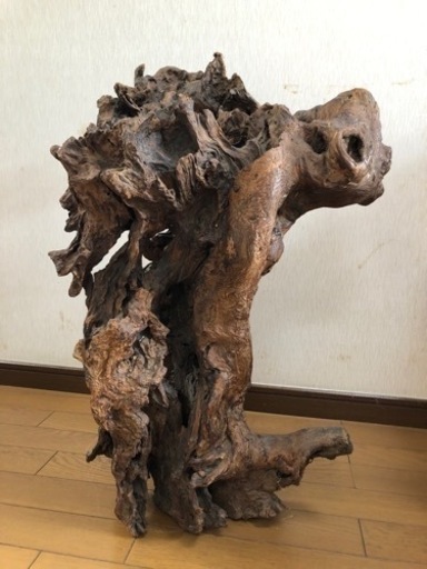 異形古木、自然木、置き物
