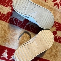 PUMA 22.5cmの画像