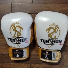 天心グローブ8オンス