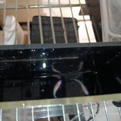 雲州紅白体外光の中に現れた白色個体　5匹　1000円の画像