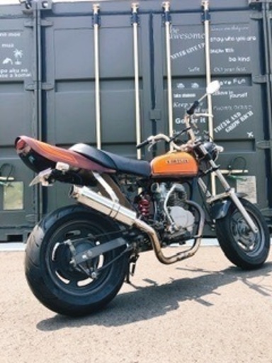 THE 火の玉エイプ ！！！　速いです！