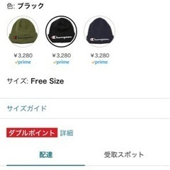 【中古美品】🉐条件付き半額❣️ニット帽Champion（チャンピオン）/ブラックの画像