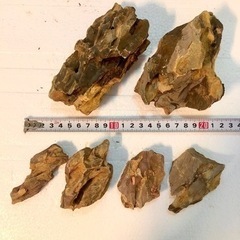 気孔石×大小９コ_5kg前後の画像