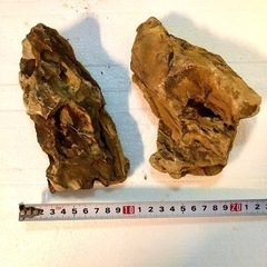 気孔石×大小９コ_5kg前後の画像