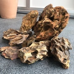 気孔石×大小９コ_5kg前後