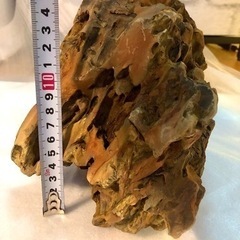 気孔石×大小９コ_5kg前後の画像