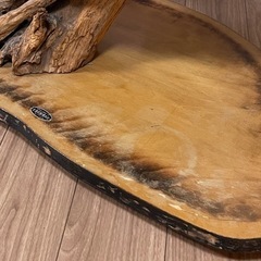 決まりました【無料】　子熊　剥製　取りにきてくださる方の画像