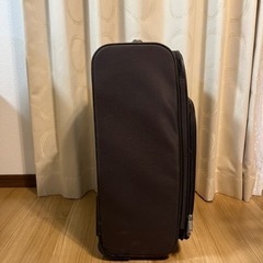 [1/26引取り希望]アメリカンツーリスター　キャリーバッグの画像
