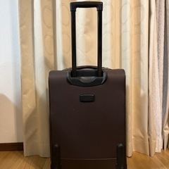 [1/26引取り希望]アメリカンツーリスター　キャリーバッグの画像