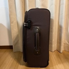 [1/26引取り希望]アメリカンツーリスター　キャリーバッグの画像