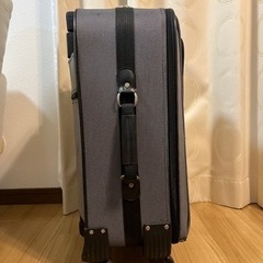 [引き渡し者決定]FLEXEED キャリーバッグの画像