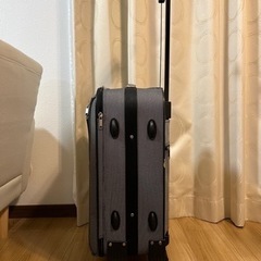 [引き渡し者決定]FLEXEED キャリーバッグの画像