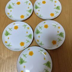 断捨離　プレート　皿　ナカノヒロミチ