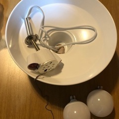 ニトリ　ペンダントライト　水色　2灯 の画像
