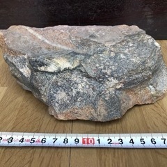菊花石　原石（現金手渡し）
