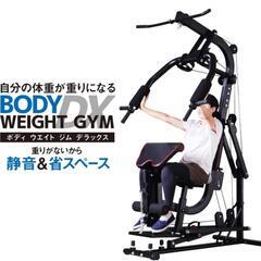 ホームジム マルチ トレーニング 器具 セット 総合 大型 ワイヤー式 マシン 重りの無い静音設計 BODY WEIGHT GYM DX LS-SA-690