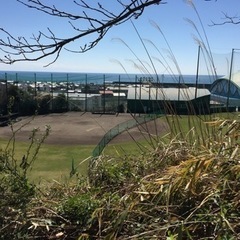 参加できる草野球チームを探しています