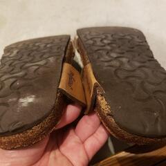 BIRKENSTOCK　ピサの画像