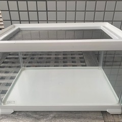 エキゾテラ　レプテリアホワイト 300Low