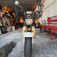 チャピィ50ccの画像