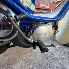 チャピィ50ccの画像
