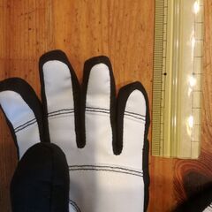 GOLDWIN　キッズグローブ　子供手袋の画像