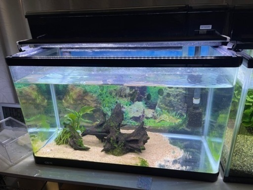 60センチ水槽セット