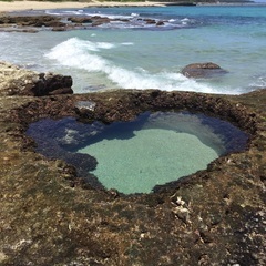 女性限定 (❁ᴗ͈ˬᴗ͈)海外旅行or 国内旅行　(温泉巡り) ...