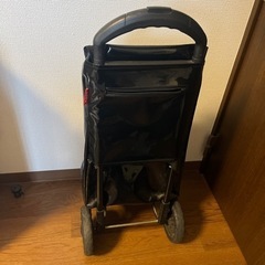 キャリーバッグの画像