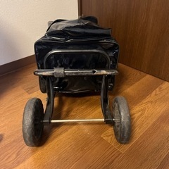 キャリーバッグの画像