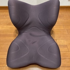 スタイルプレミアム 座椅子 骨盤矯正 MTG