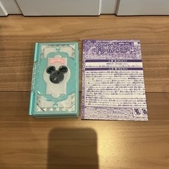 ディズニー⭐︎ドリームパスポートの画像
