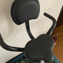 【取引決定済】トレーニングバイクの画像