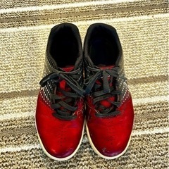 2月中の掲載　アシックス(asics)スポーツシューズ　メンズの画像