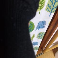 guジャンパー　SizeメンズSの画像