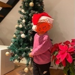 クリスマスツリー取りに来てくださる方差し上げます。