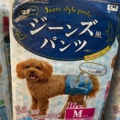 犬・猫用オムツ ドギーマン:ジーンズ風パンツ
