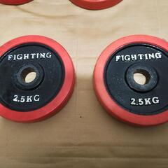 28mmシャフト用　2.5kgプレート×2枚【ファイティングロード②】