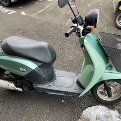 決まりました　ホンダ　トゥデイ　50cc の画像