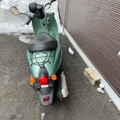 決まりました　ホンダ　トゥデイ　50cc の画像
