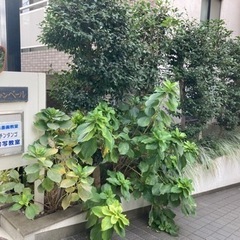 貸し教室／レンタルスペース★日暮里・西日暮里駅徒歩約５分！の画像