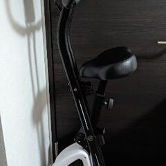 tigora エアロバイク
