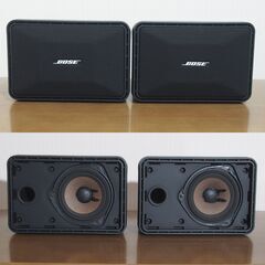 BOSE 101MM