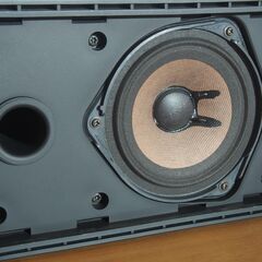 BOSE 101MMの画像