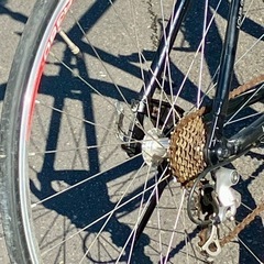 お取引感謝【乗りやすく】ルイガノ・ＲＳＲ３・９速・サイズ４５０・中古の画像